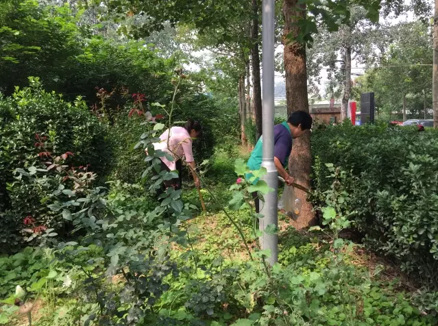 201709051504606299943519.png 1504593479(1).png