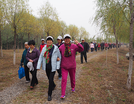 201710311509415479221067.jpg 健步走大军.jpg