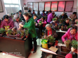 农大南路社区植物微景观体验活动16.png