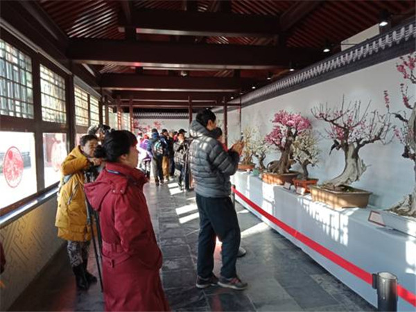 201802151518700767662076.jpg 1.jpg