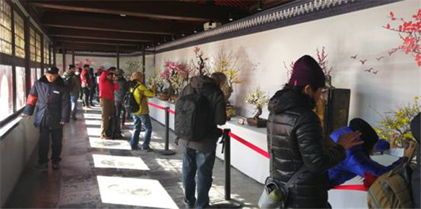 201802151518700782544461.jpg 2.jpg