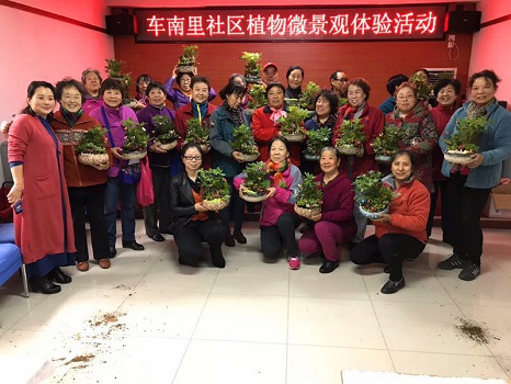 图2：紫竹院街道车南里社区开展“植物微景观栽培”体验活动.jpg
