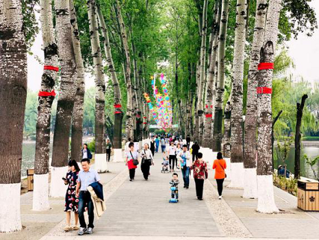 201805031525308848408590.png 图片75.png