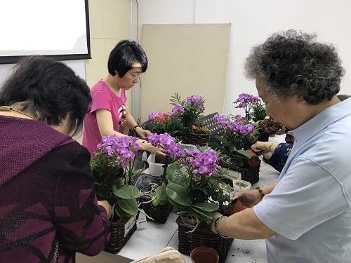 201805091525832929482545.jpg 318647501341195069.jpg