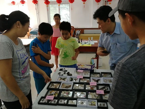 2018.8.3美丽园社区儿童跳蚤市场 (4).jpg