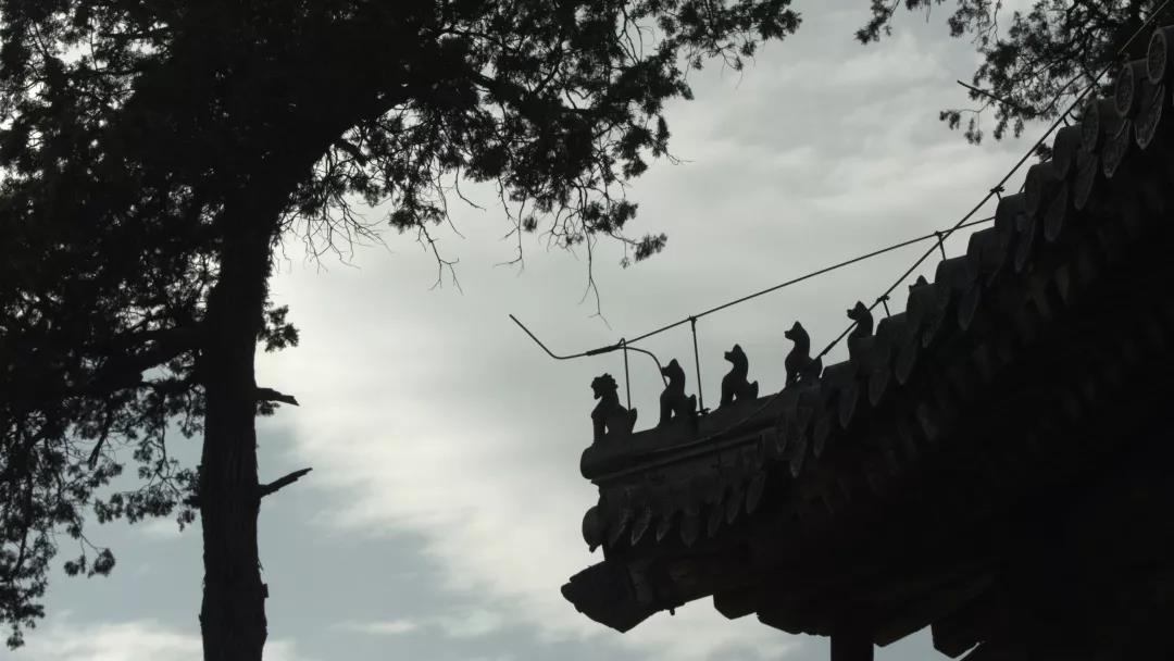 201808241535098742637602.jpg 微信图片_20180824161943.jpg