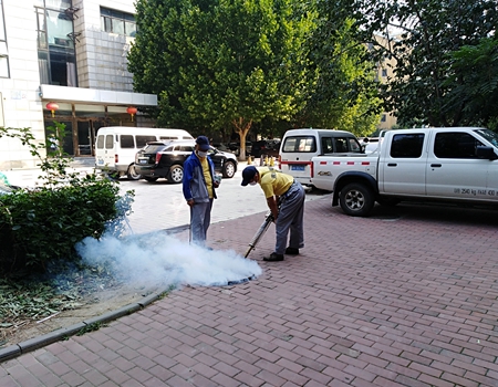 201809181537257884452189.jpg 1.jpg