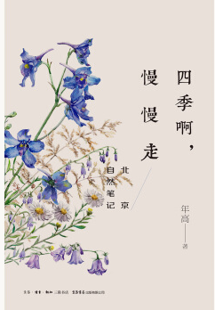 201810151539589966743851.png 图片8.png