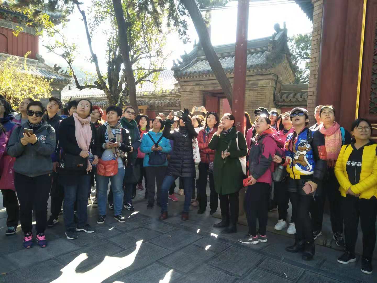 201811031541229317948075.jpg 微信图片_20181103150716.jpg