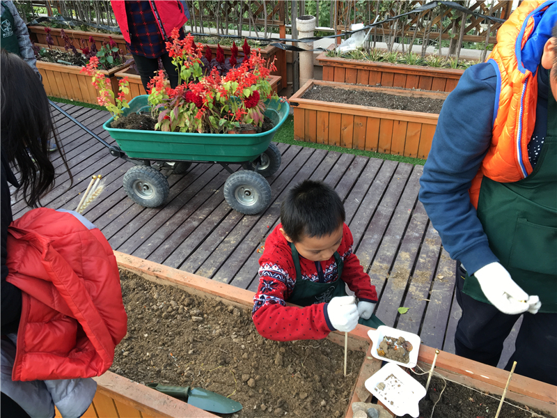 201812061544059578988479.jpg 1 929.JPG