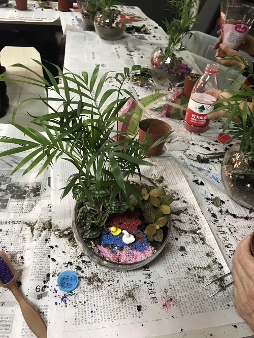 201901251548405112611249.jpg 微信图片_201901251559302.jpg