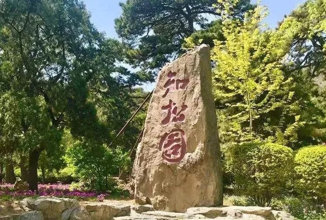 香山2.webp.jpg