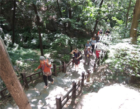 201906181560822576183951.jpg 2.jpg