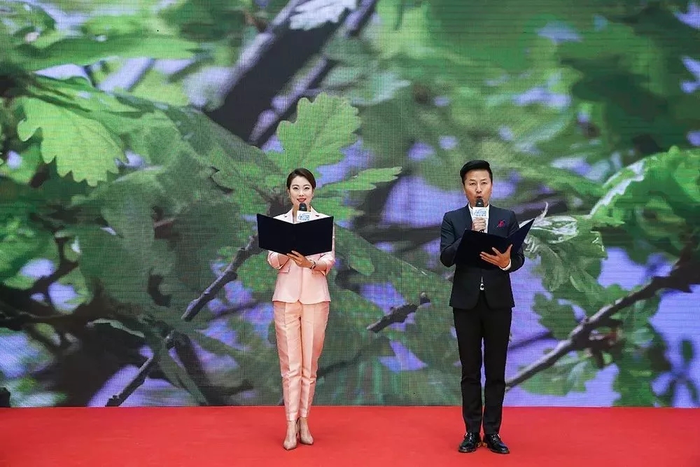 201907011561947525468331.jpg 9.webp.jpg