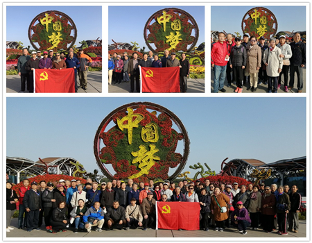 201910251571998829592792.jpg 1.jpg