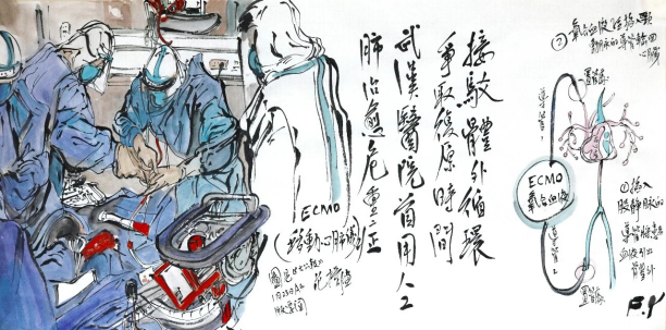 202002181582005409772254.png 海淀美术馆抗疫资料之十二2020.2.10502.png