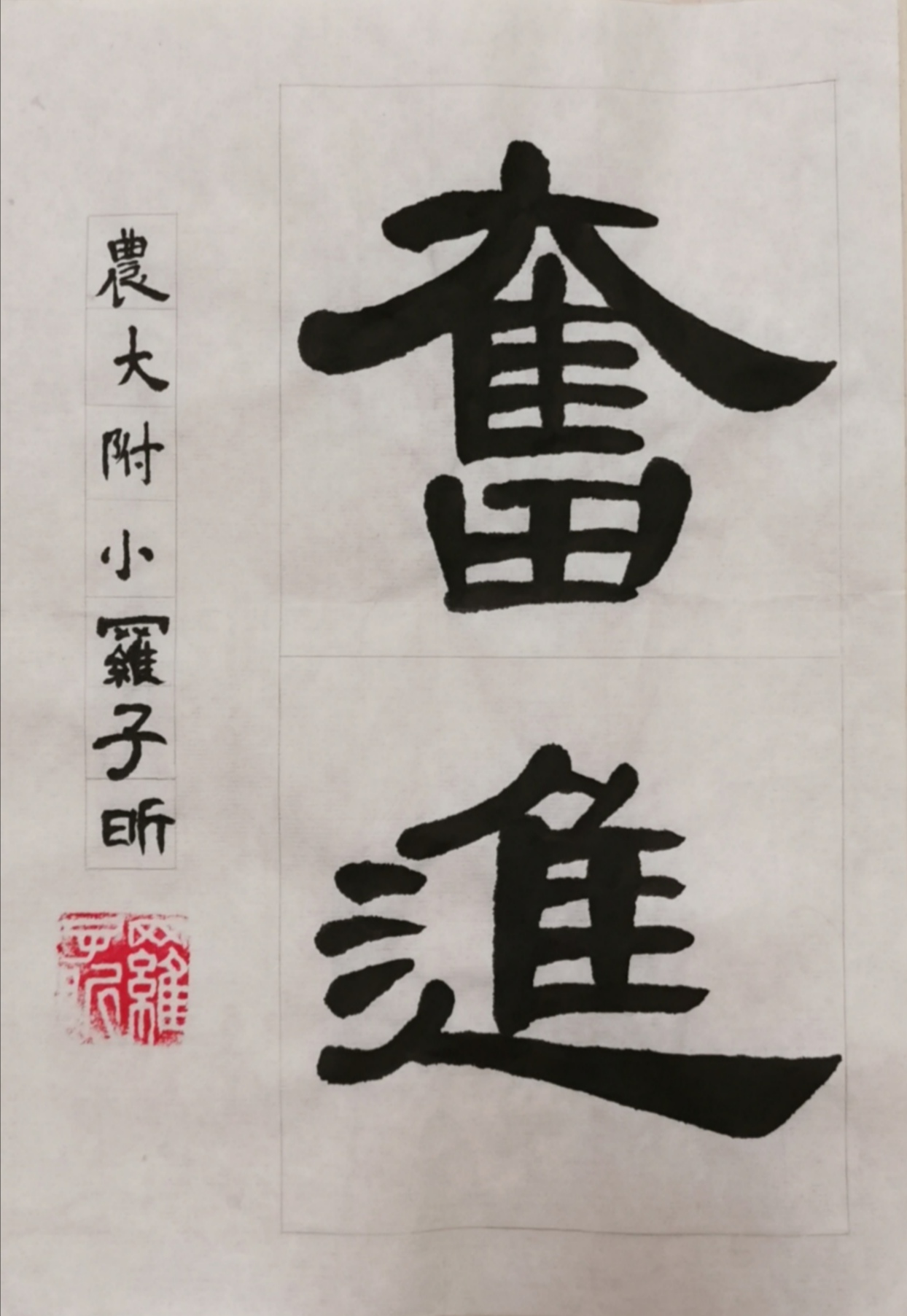 农大附小 五年级1班罗子昕.jpg