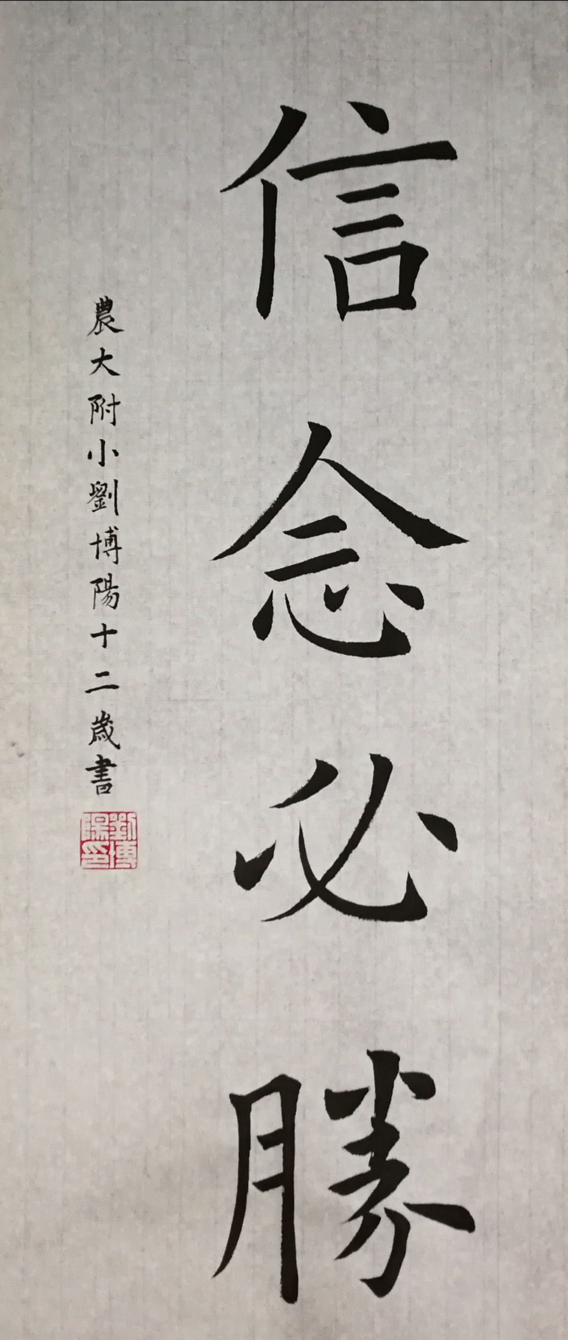 农大附小 六年级1班刘博阳.jpg