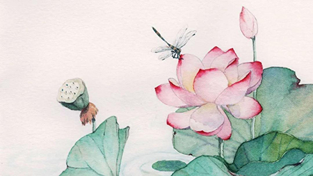 202003111583908706373433.jpg 1.jpg