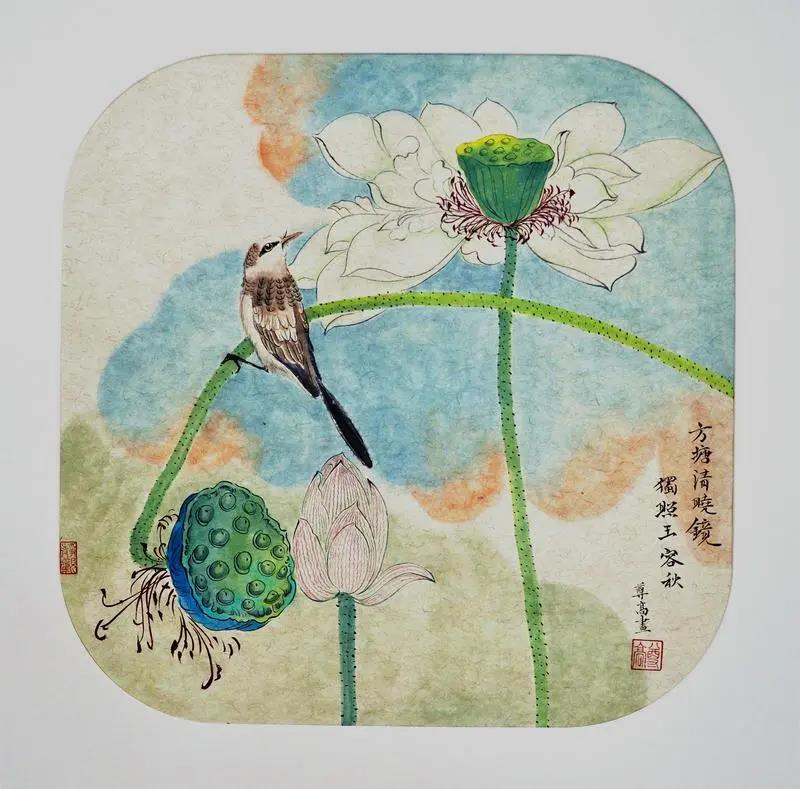 荷花小鸟.jpg