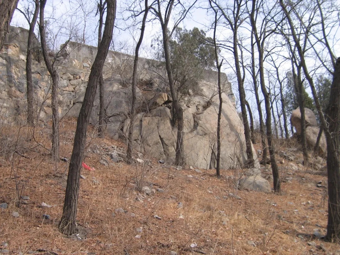20200811_160736_001.jpg