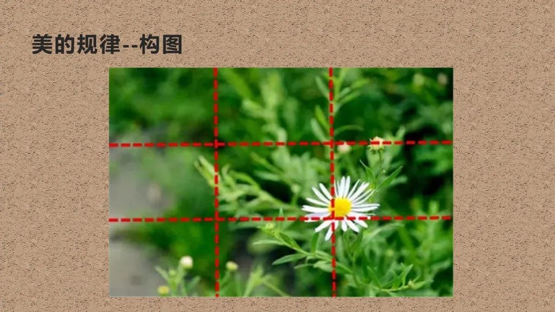 202010131602555923224138.jpg 美术鉴赏5.jpg