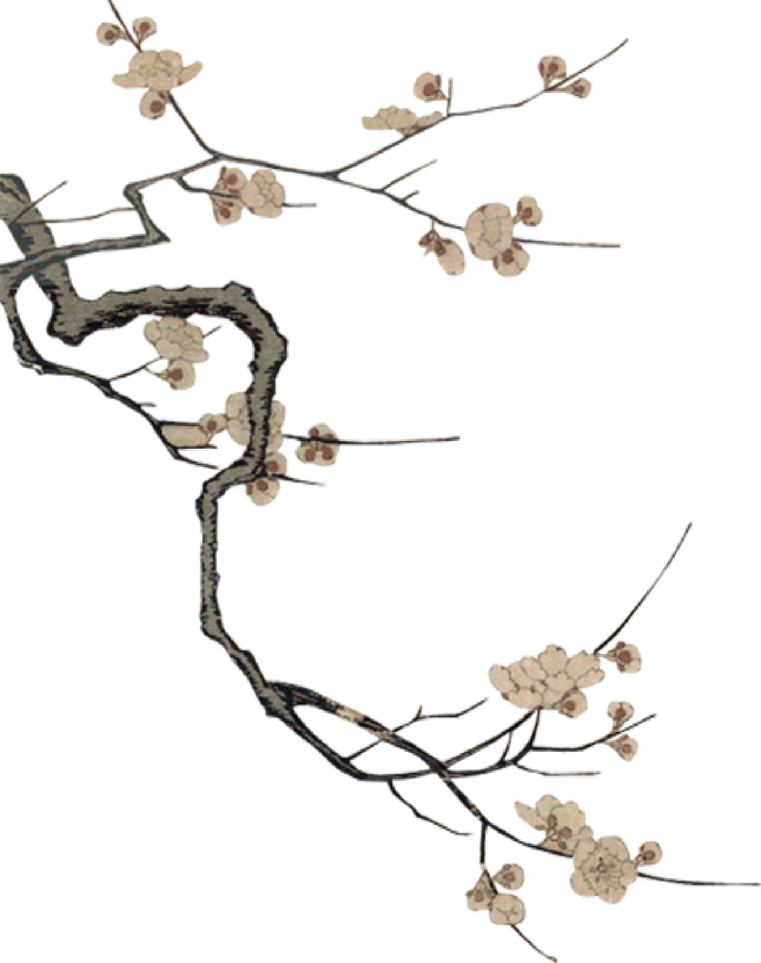 202010131602556471178211.png 古琴1.png