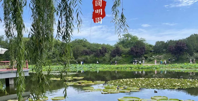 图片18.png