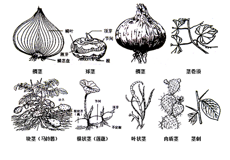 图片 3.png