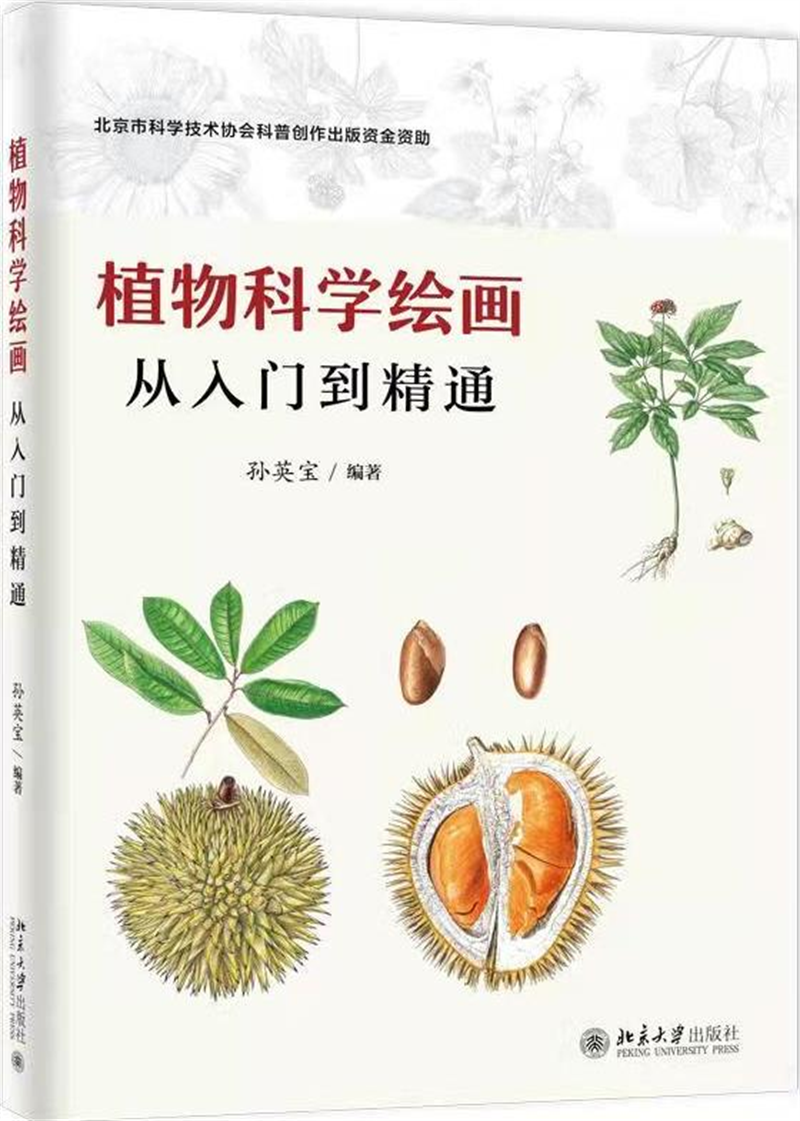 图片 6.png