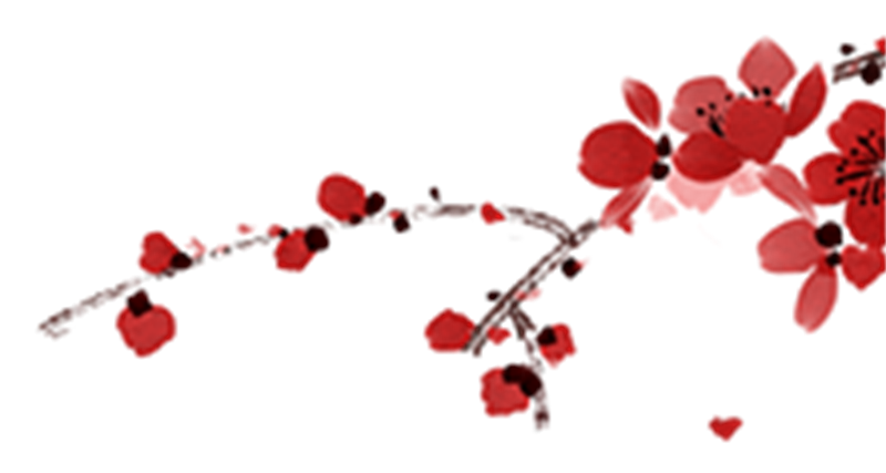 图片 3.png