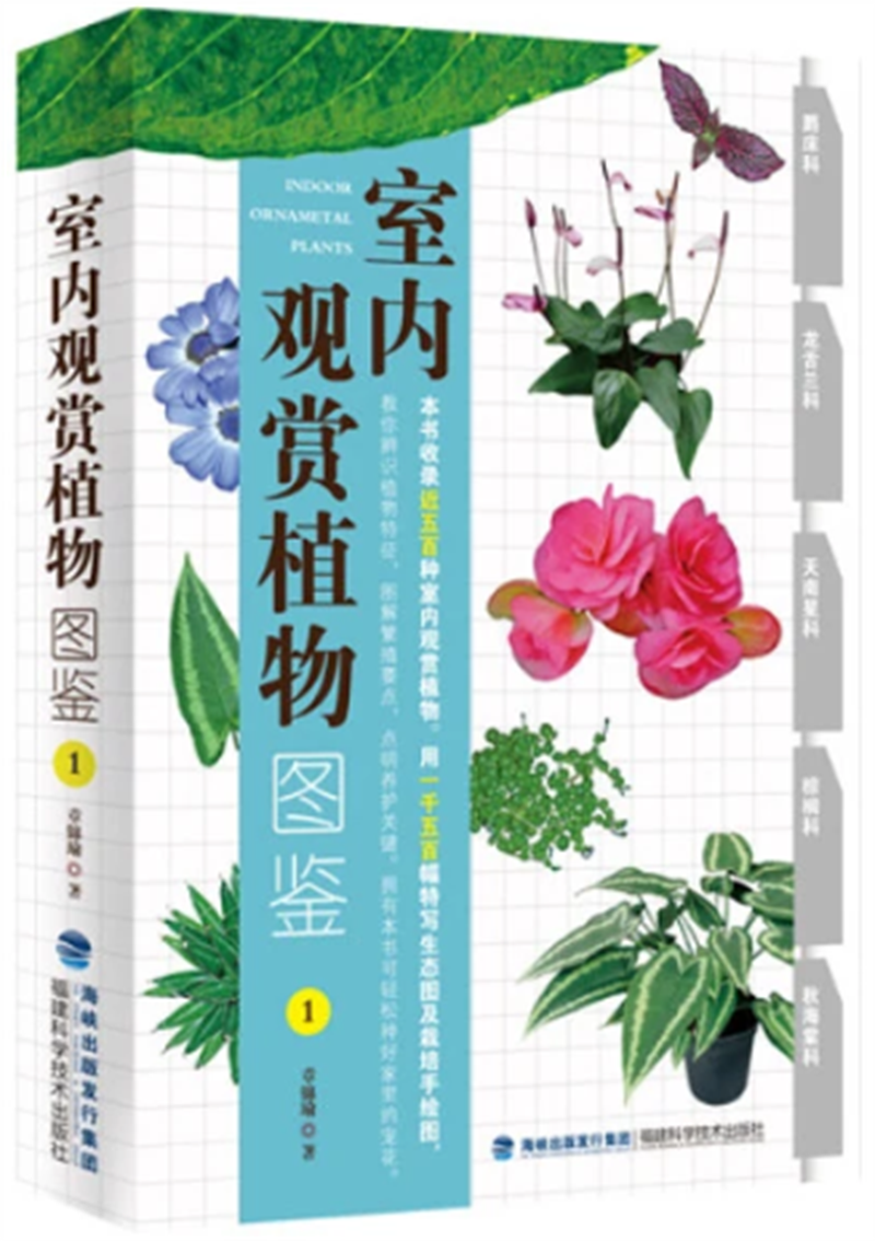 图片 7.png