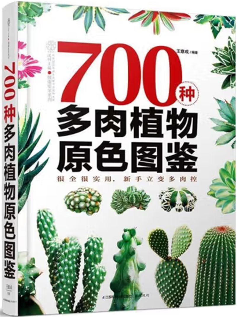 图片 8.png