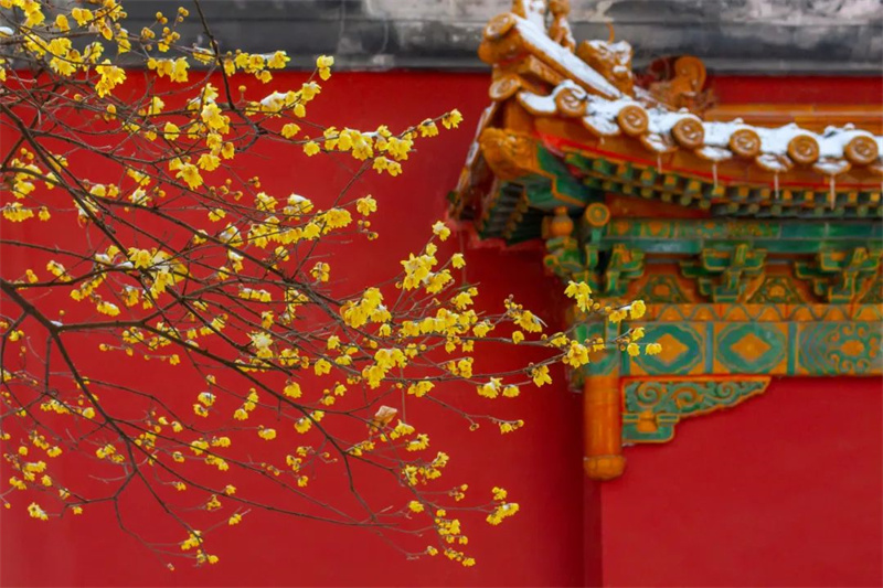 图片4.jpg