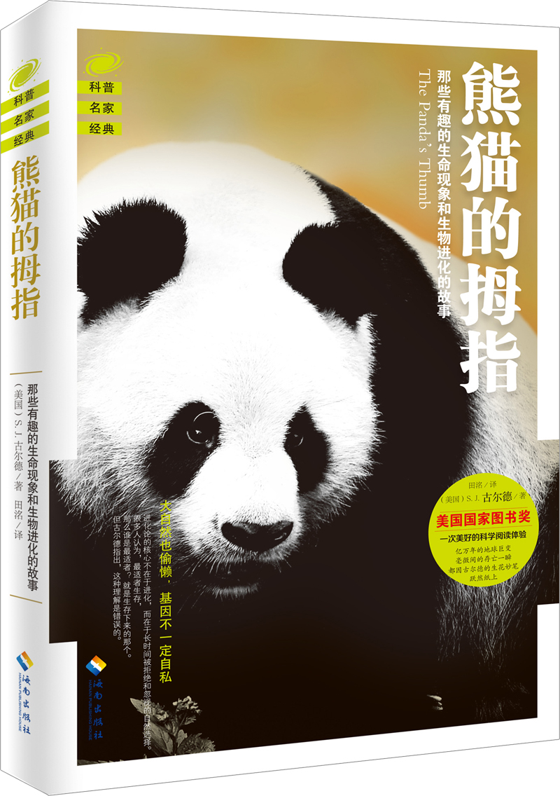 图片10.png